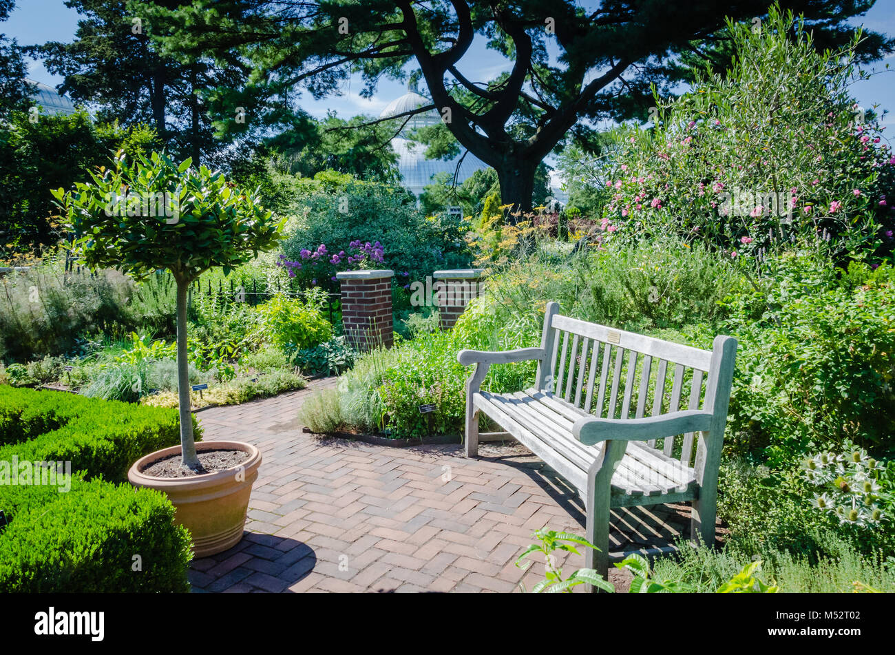 Il New York Giardino Botanico nel Bronx, New York è un museo vivente, istituto di istruzione e ricerca sulle piante e organizzazione di conservazione. Foto Stock