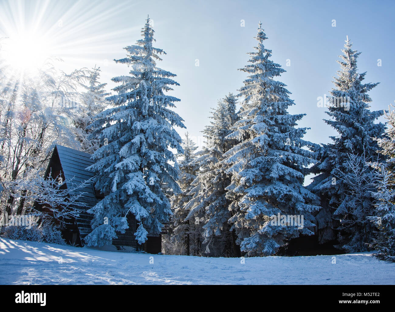 Perfetto per l'anno nuovo nella Repubblica ceca Tatra Foto Stock