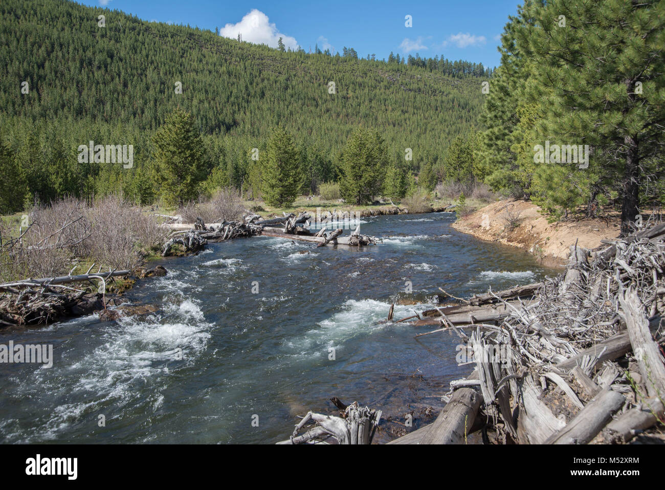 Tumalo Creek nella centrale Oregon Cascade Mountains Foto Stock