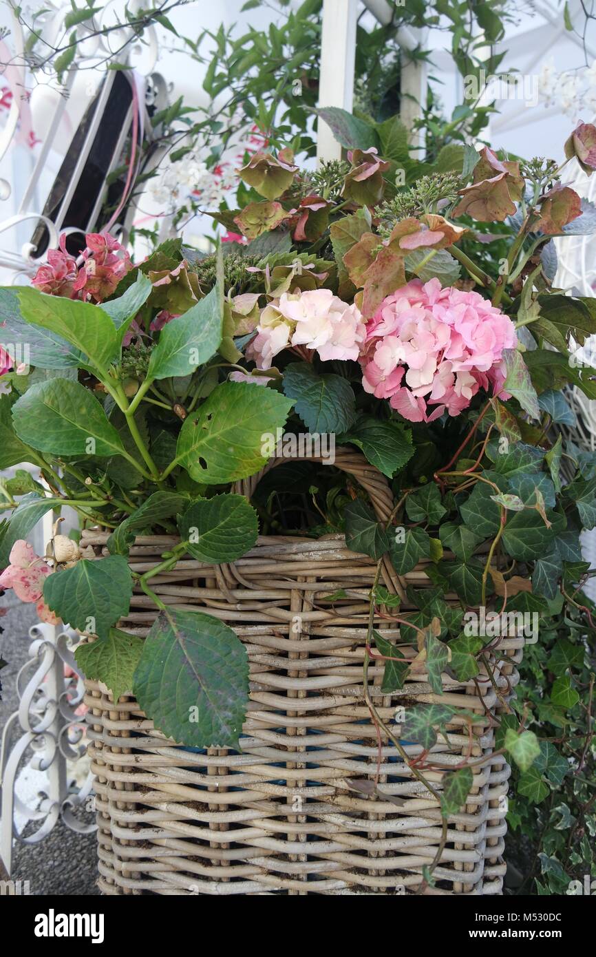 Cesto fiorito su una terrazza giardino Foto Stock