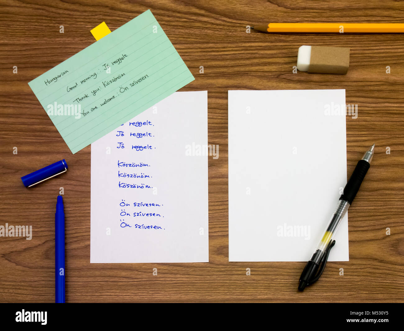 Ungherese; imparare una nuova lingua scrittura di parole sul notebook Foto Stock