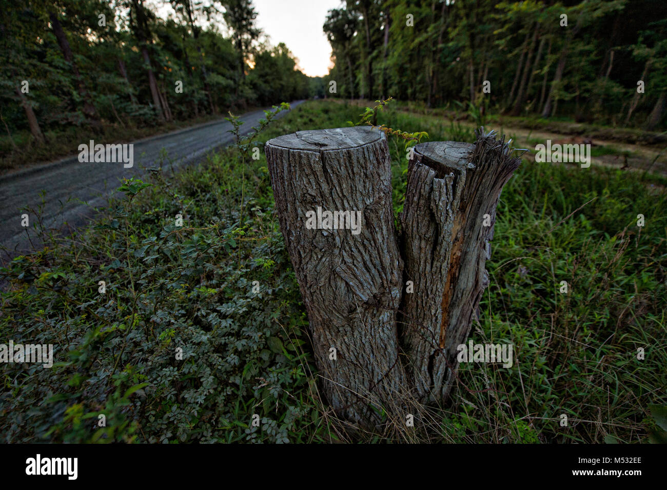 Stati Uniti - Luglio 22, 2017: Western Loudoun storico della strada di ghiaia noto come Allder School Road al di fuori del villaggio di Round Hill. Molti di di Foto Stock