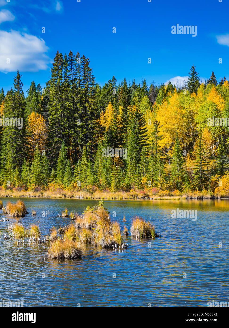 Il Golden Autumn in laghi vermiglio Foto Stock