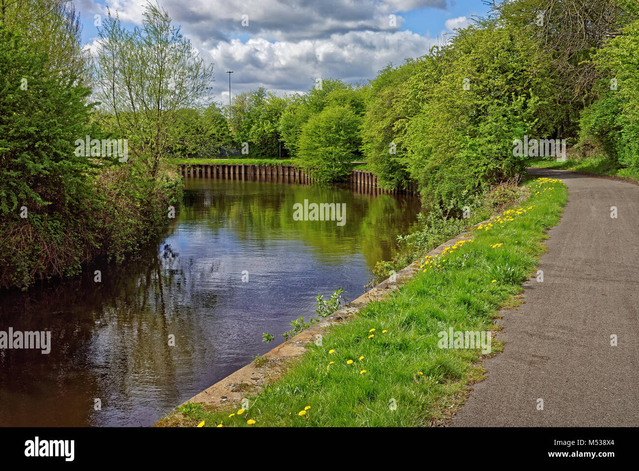 UK,South Yorkshire,Rotherham,Trans Pennine Trail & Sheffield di Keadby Canal Foto Stock