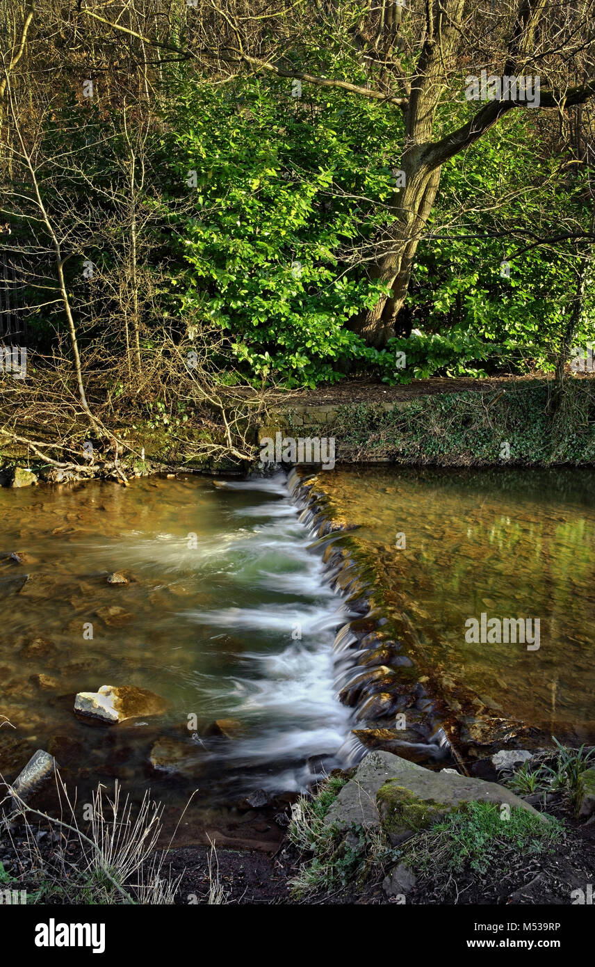 UK,South Yorkshire,Sheffield,Fiume covone Weir a Millhouses Park Foto Stock