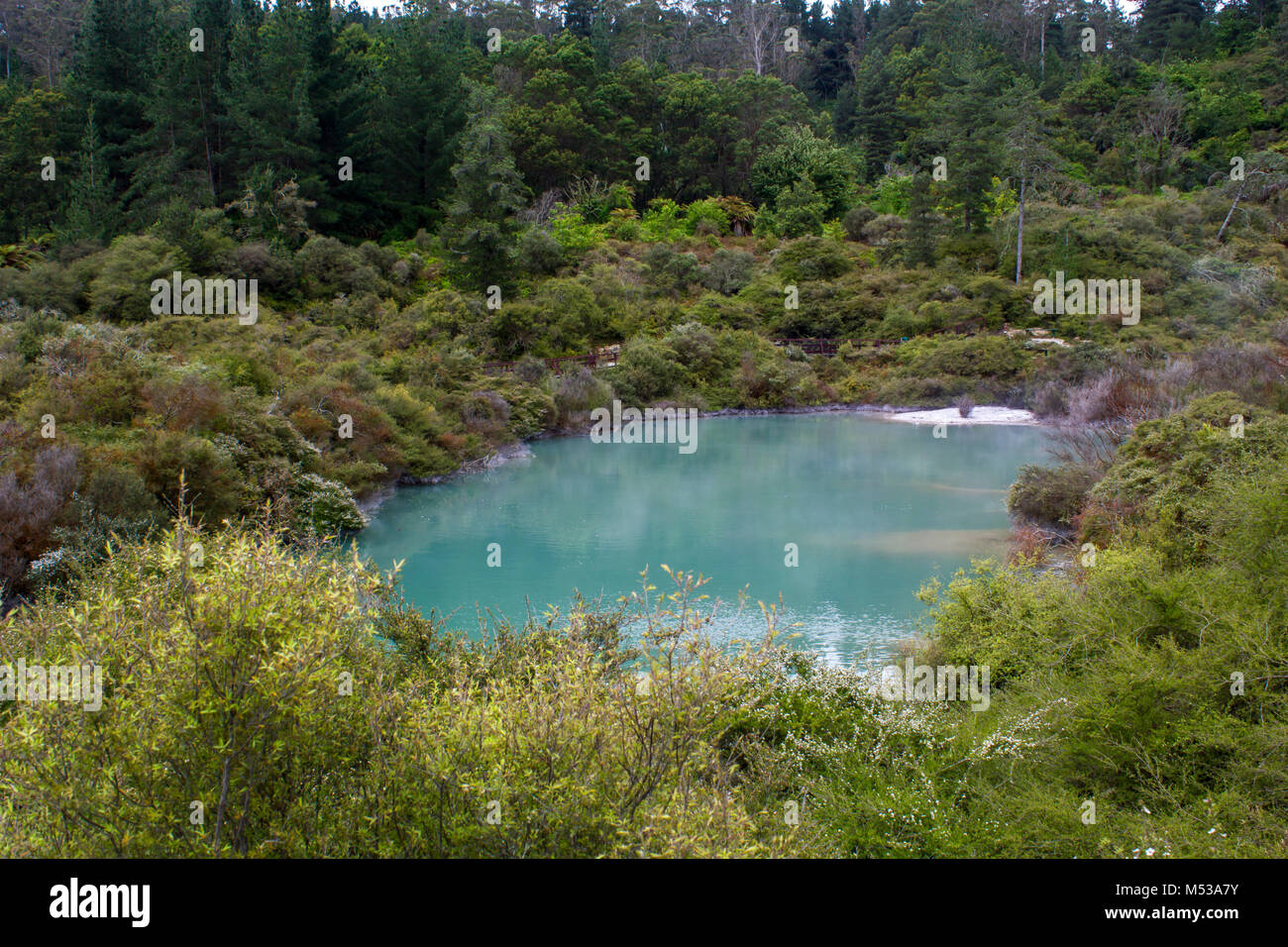 Geotermica lago blu con vapore, Whakarewarewa village, Nuova Zelanda Foto Stock