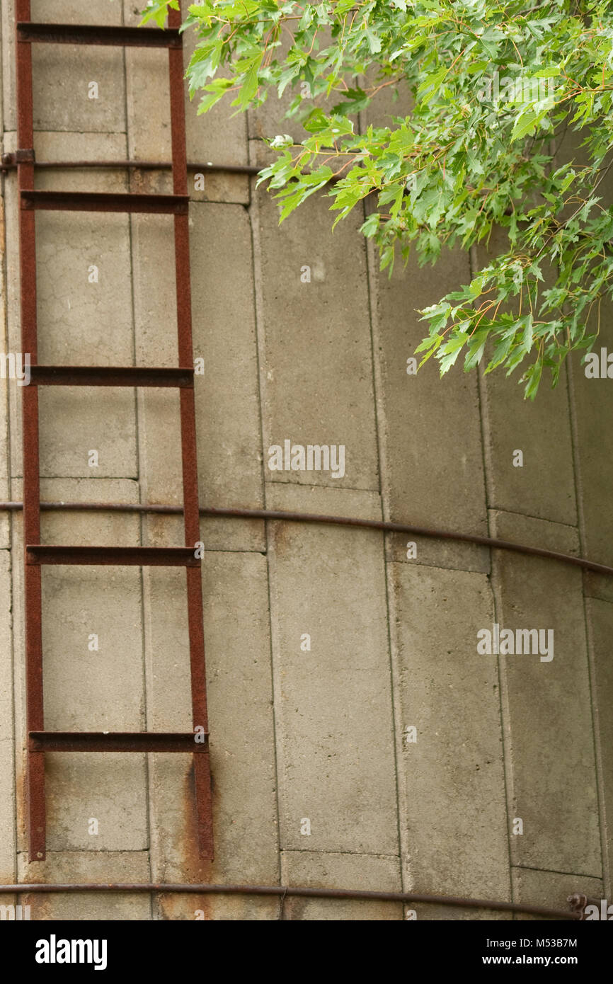 Chiusura del granaio abbandonato Silo e scaletta Foto Stock