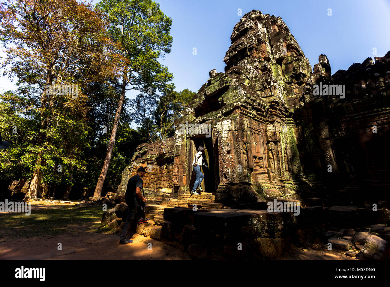 Ta Som Angkor Wat Siem Reap Cambogia il sud-est asiatico è un piccolo tempio di Angkor, Cambogia, costruita alla fine del XII secolo per il Re Jayavarman V Foto Stock