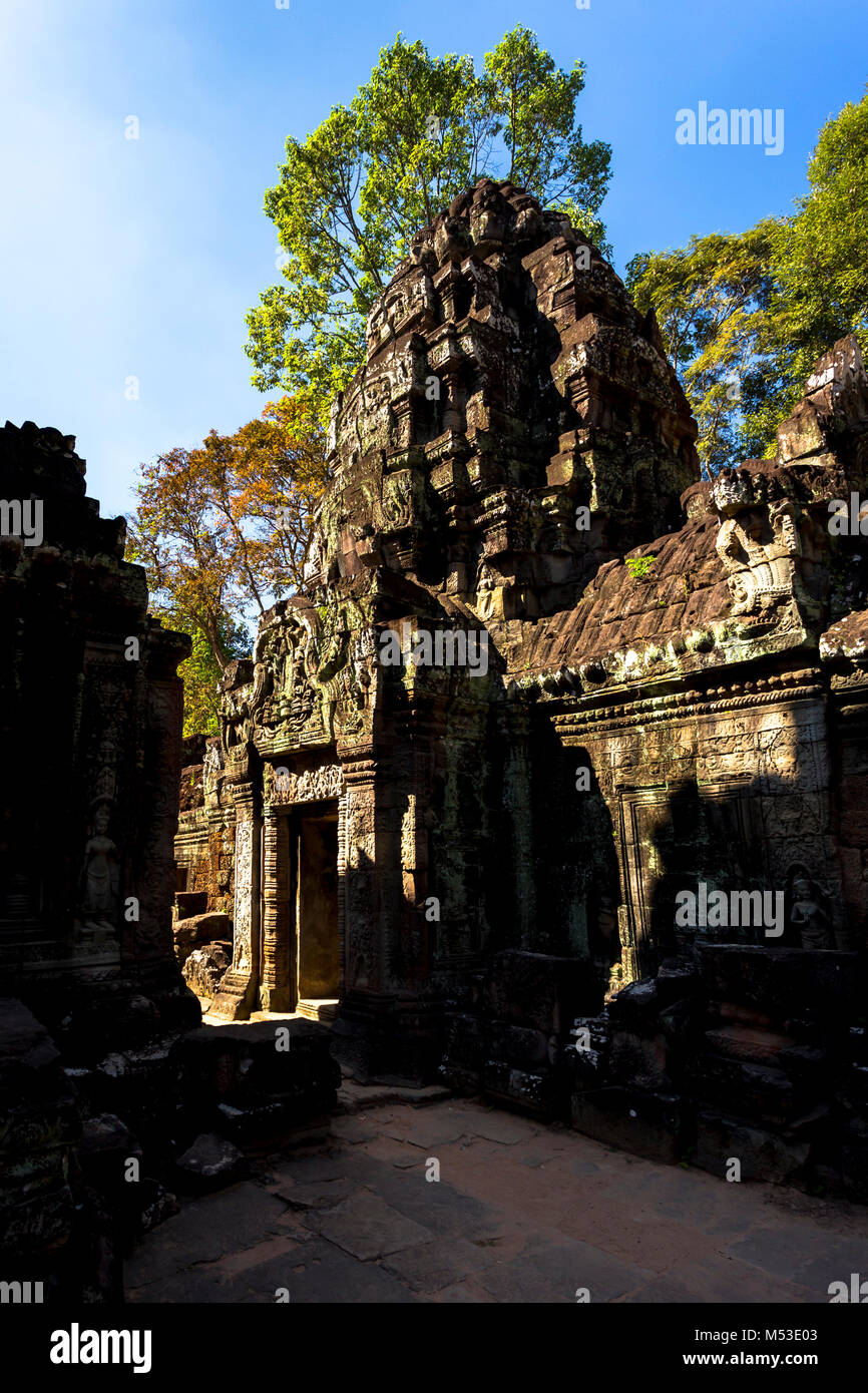 Ta Som Angkor Wat Siem Reap Cambogia il sud-est asiatico è un piccolo tempio di Angkor, Cambogia, costruita alla fine del XII secolo per il Re Jayavarman V Foto Stock