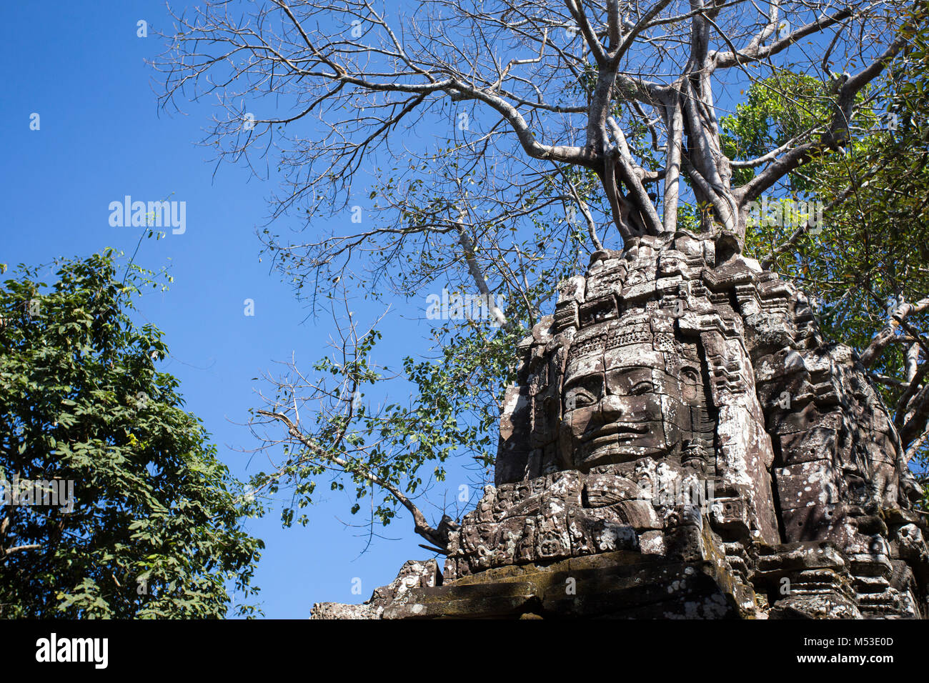 Ta Som Angkor Wat Siem Reap Cambogia il sud-est asiatico è un piccolo tempio di Angkor, Cambogia, costruita alla fine del XII secolo per il Re Jayavarman V Foto Stock