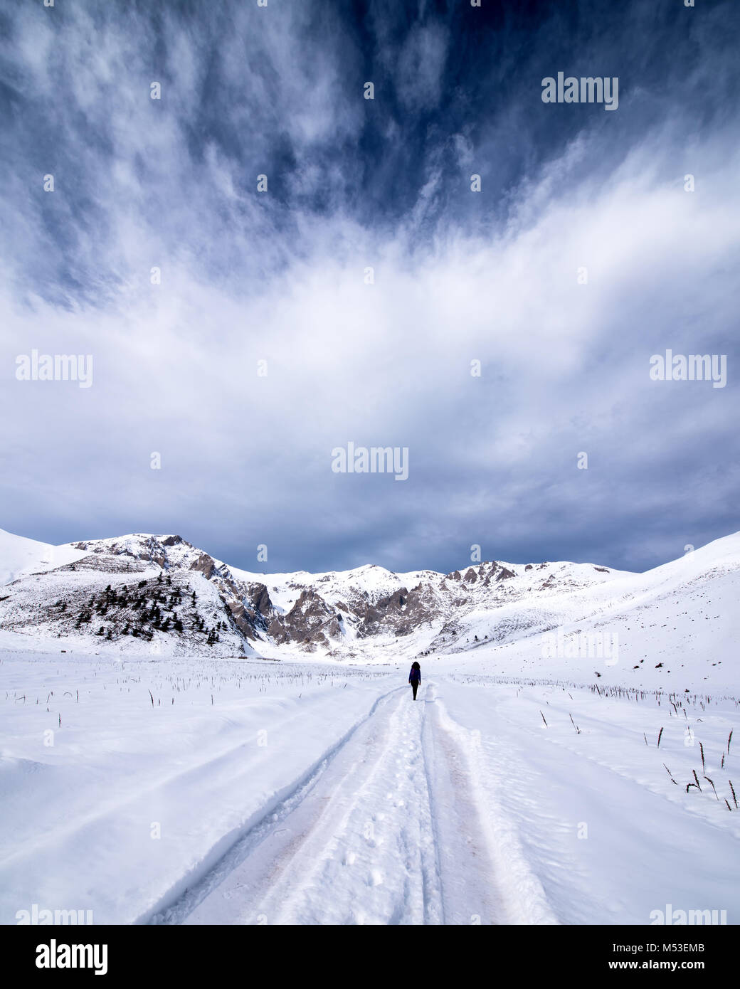 Persona a piedi verso il basso di un inverno nevoso strada attraverso il campo Paese in un paesaggio panoramico concettuale del le stagioni. Foto Stock