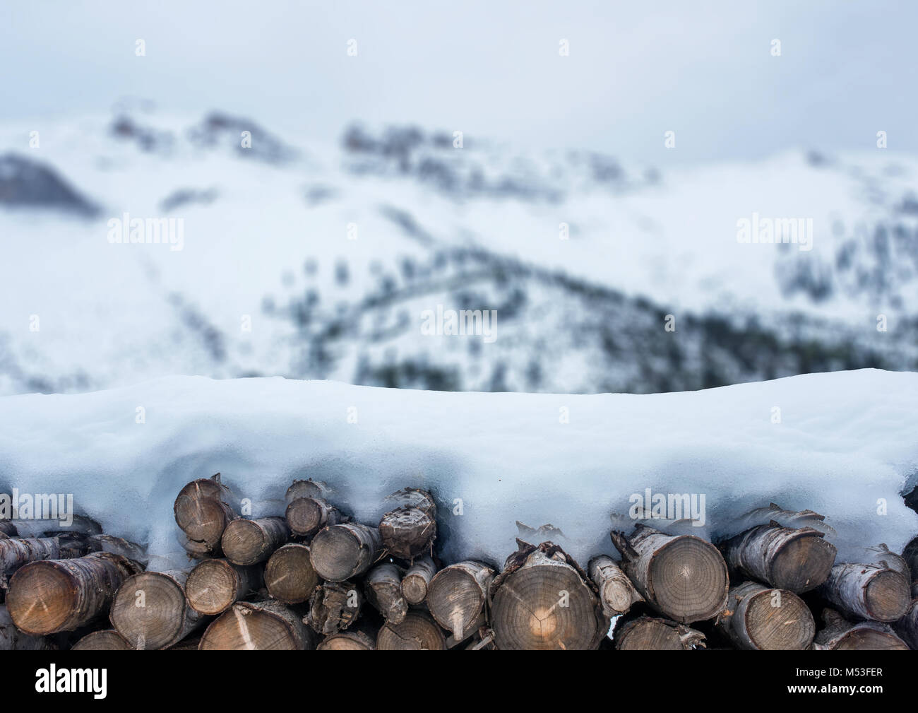 Blu brillante neve invernale sfondo con boschi. Foto Stock