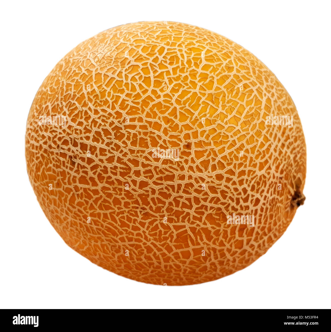 Succoso melone maturo isolato su sfondo bianco Foto Stock