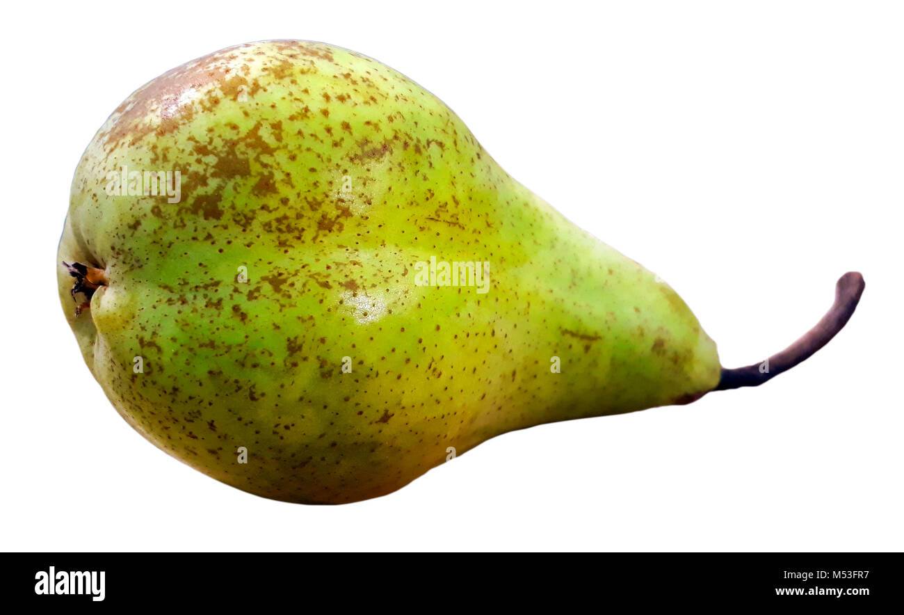 Succosa mature pera verde isolato su sfondo bianco Foto Stock