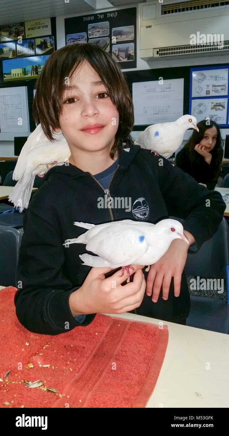 Scuola elementare bambino interagendo con gli animali come parte di un progetto scolastico Foto Stock