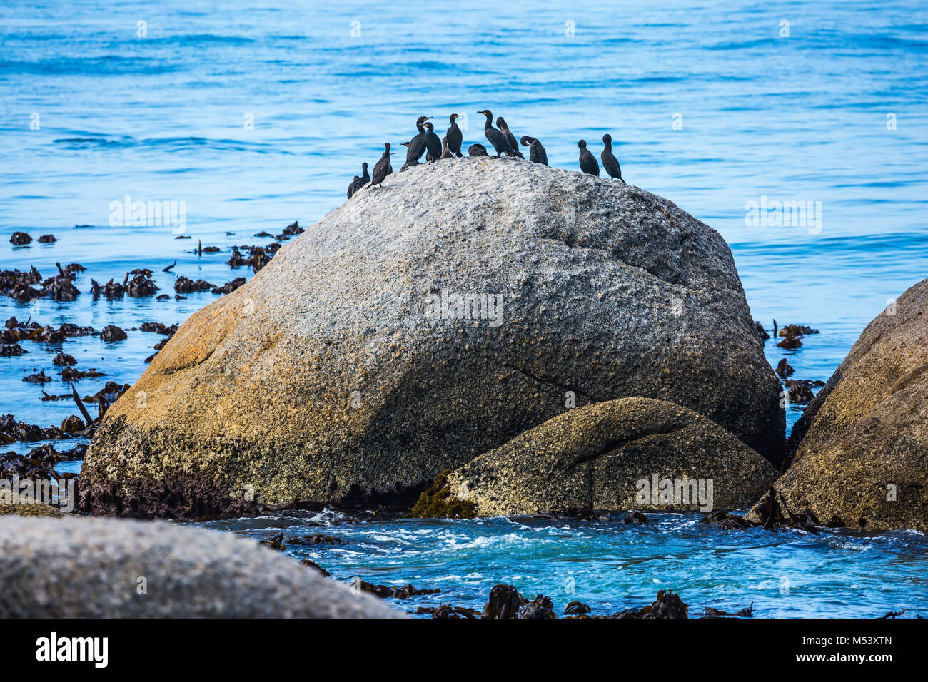 Enormi massi sulla spiaggia dell'oceano Foto Stock