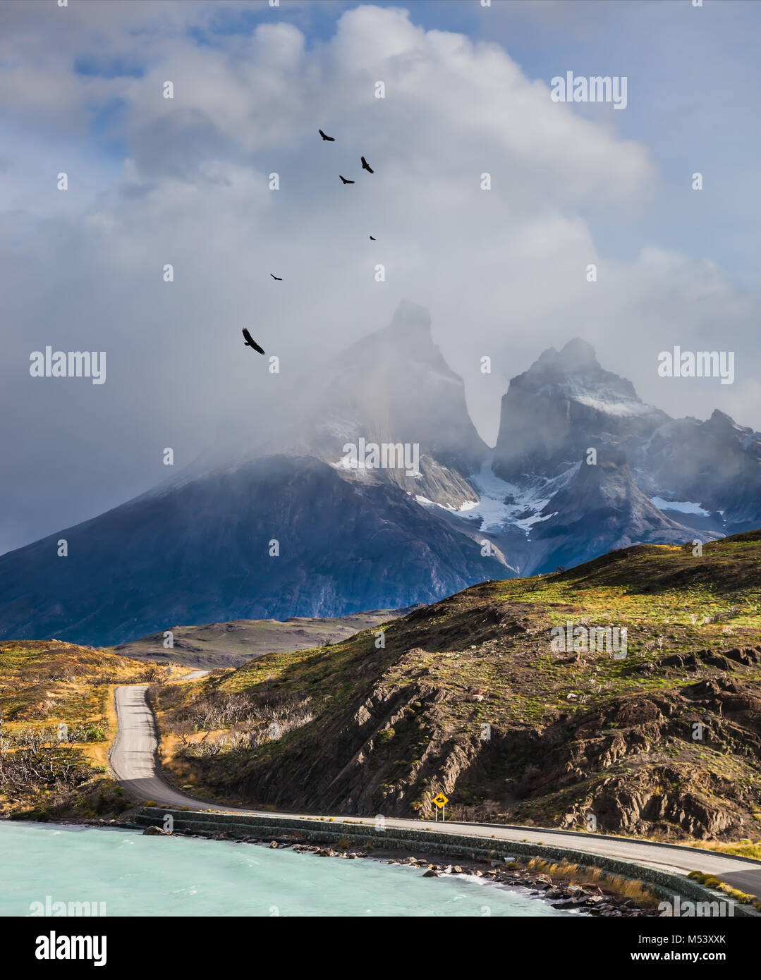 Sulle montagne del condor andino girare Foto Stock