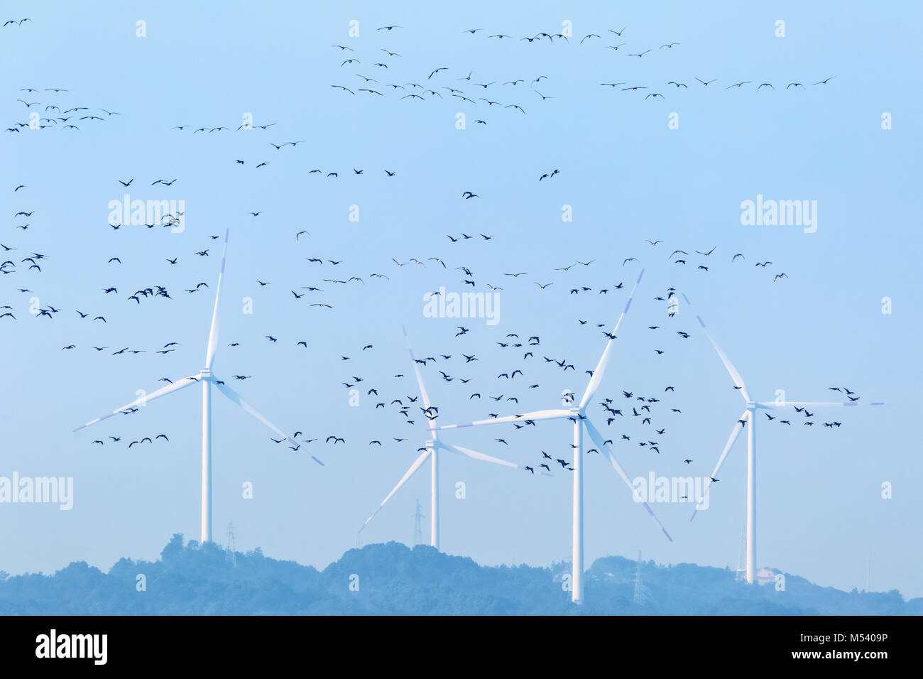 Wind Farm e gli uccelli migratori Foto Stock