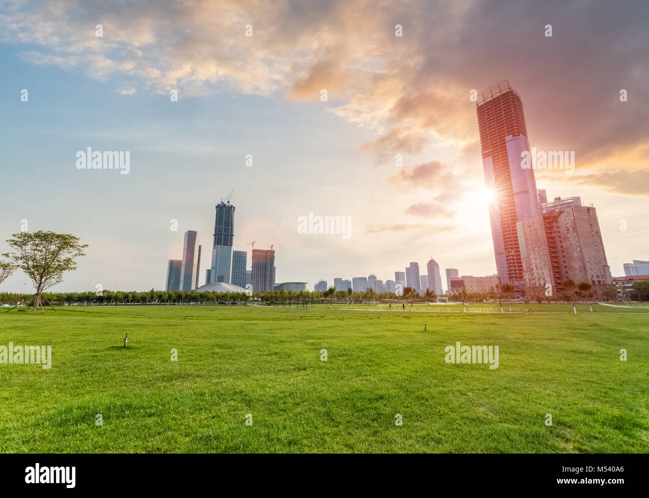 Parco cittadino in sunset Foto Stock