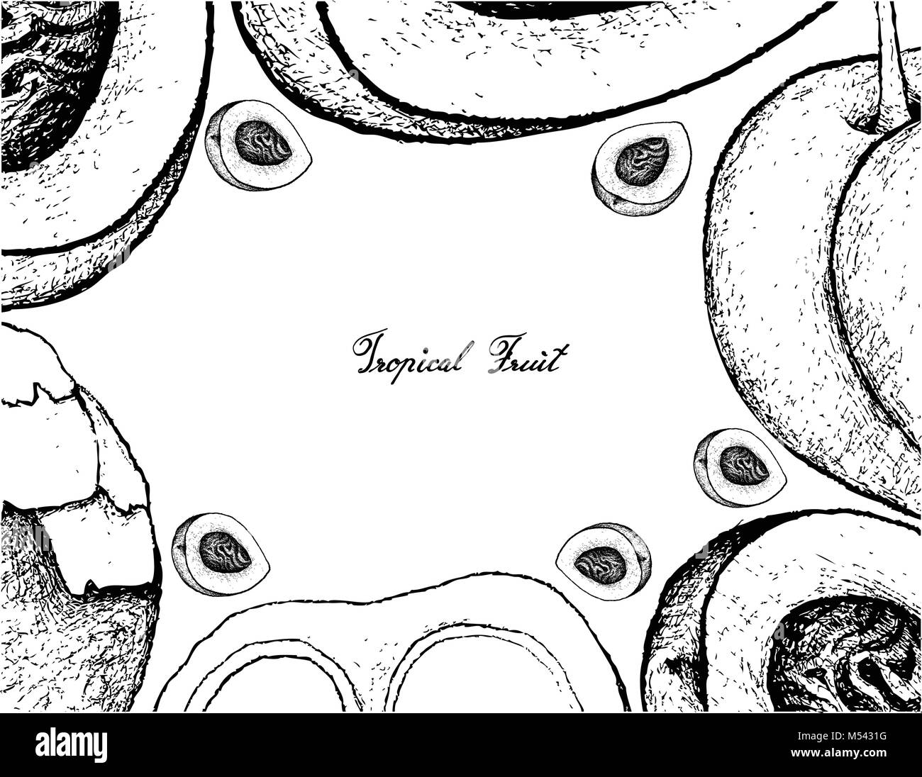Frutti tropicali, illustrazione Telaio del lato Bozzetto di pesche e pesche noci e zucchero o di palma Toddy Palm frutti isolati su sfondo bianco. Illustrazione Vettoriale
