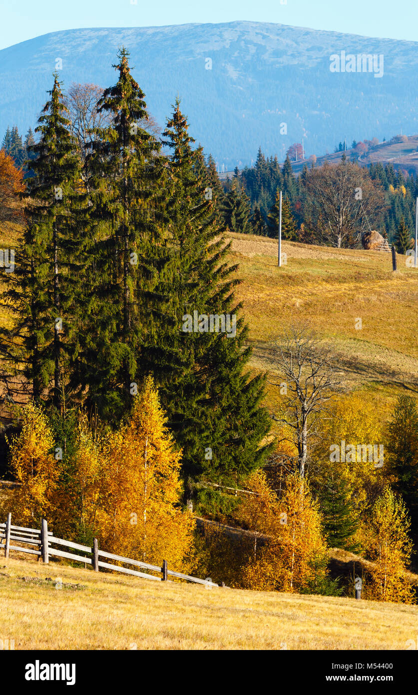 In autunno il villaggio dei Carpazi, Ucraina. Foto Stock