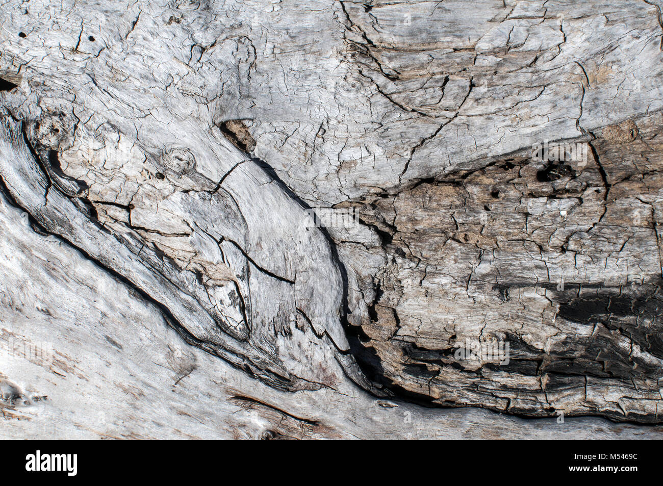 Vecchio weathered grunge superficie in legno Foto Stock