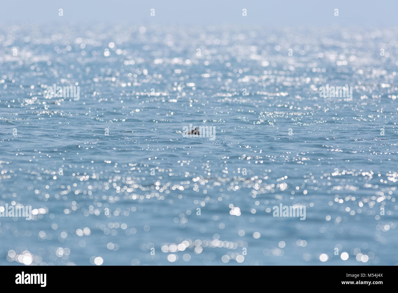 acqua bellezza Foto Stock