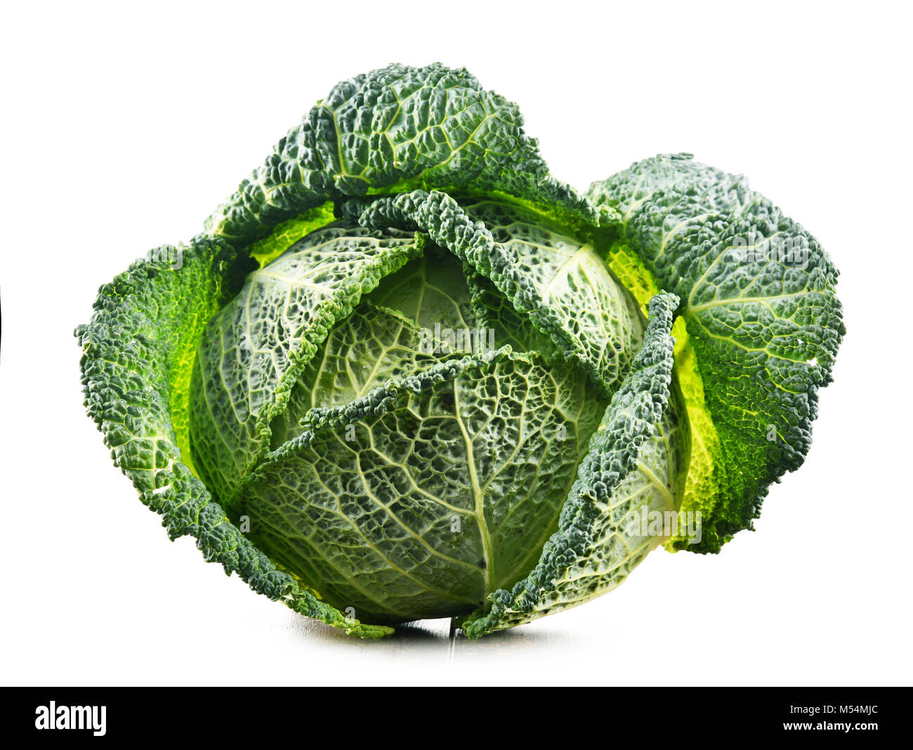 Fresche biologiche testa di cavolo isolati su sfondo bianco Foto Stock