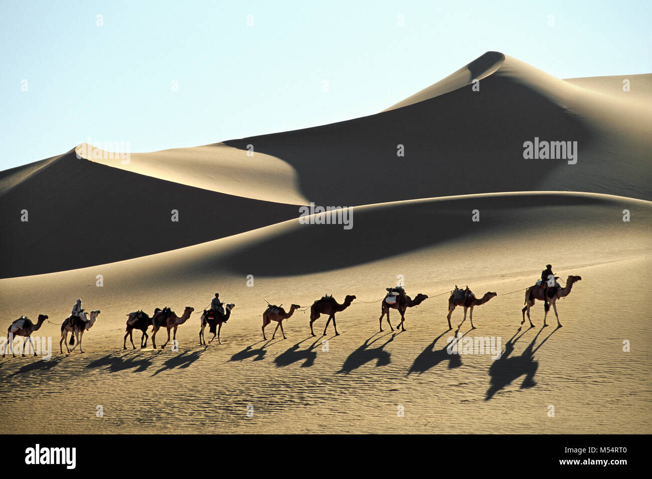 In Algeria. Nei pressi di Djanet. Deserto del Sahara. Gli uomini della tribù Tuareg e camel caravan. Le dune di sabbia. Silhouette. Foto Stock
