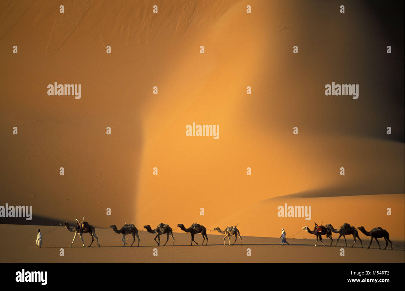 In Algeria. Nei pressi di Djanet. Deserto del Sahara. Gli uomini della tribù Tuareg e camel caravan. Le dune di sabbia. Foto Stock