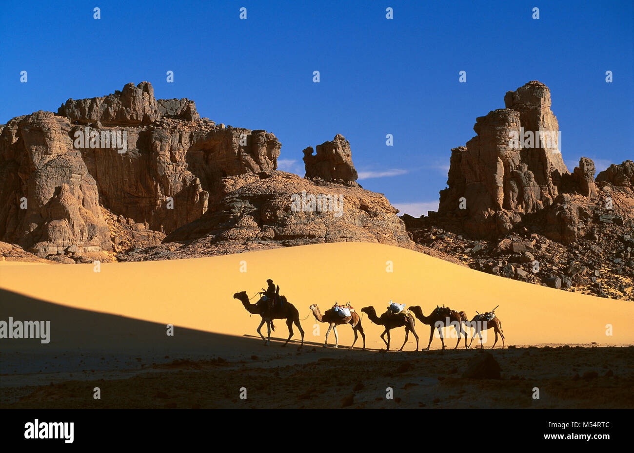 In Algeria. Nei pressi di Djanet. Deserto del Sahara. Gli uomini della tribù Tuareg e camel caravan. Le dune di sabbia. Silhouette. Foto Stock