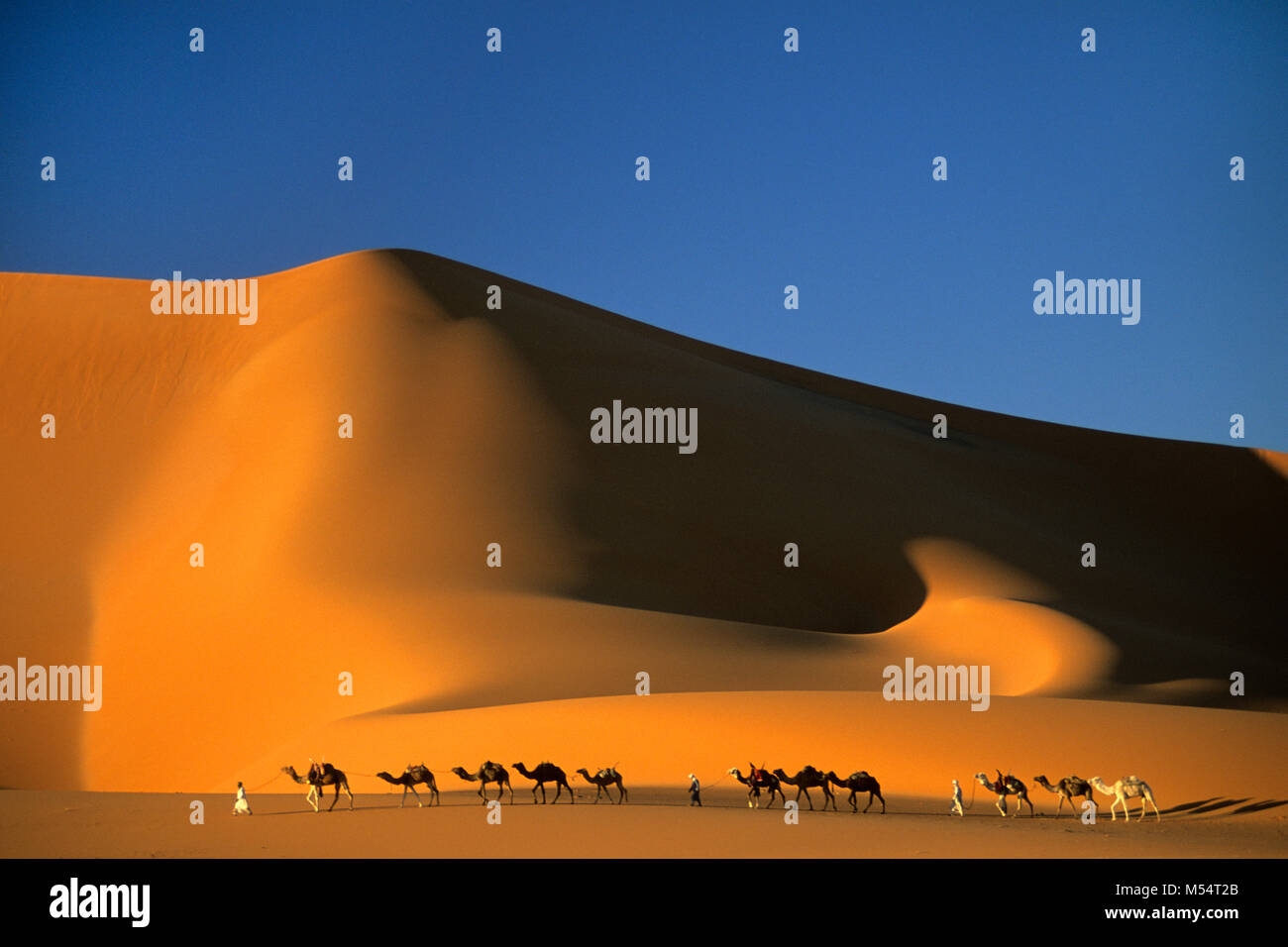 In Algeria. Nei pressi di Djanet. Deserto del Sahara. Gli uomini della tribù Tuareg e camel caravan. Le dune di sabbia e mare di sabbia. Foto Stock