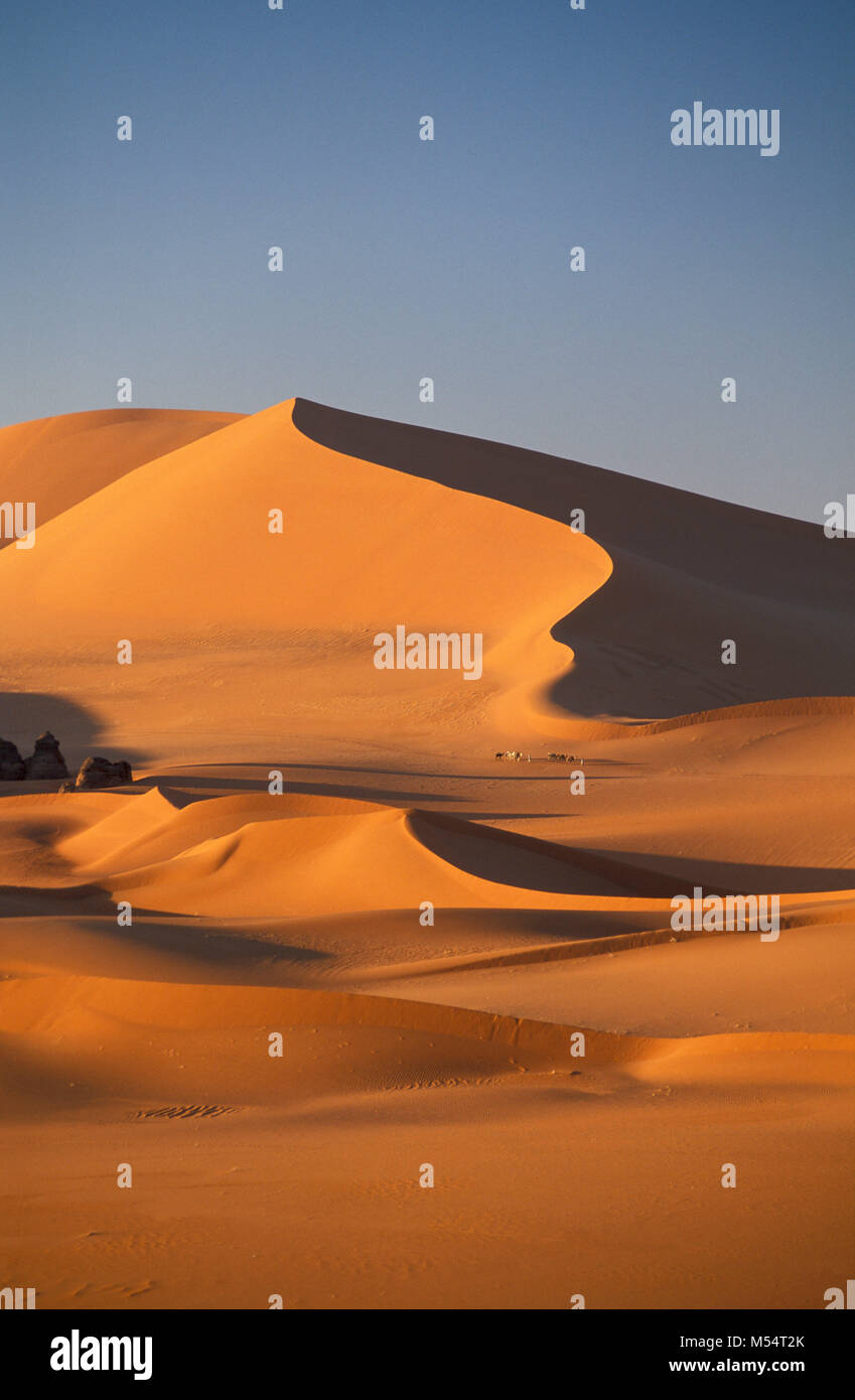 In Algeria. Nei pressi di Djanet. Deserto del Sahara. Gli uomini della tribù Tuareg e camel caravan. Le dune di sabbia e mare di sabbia. Foto Stock