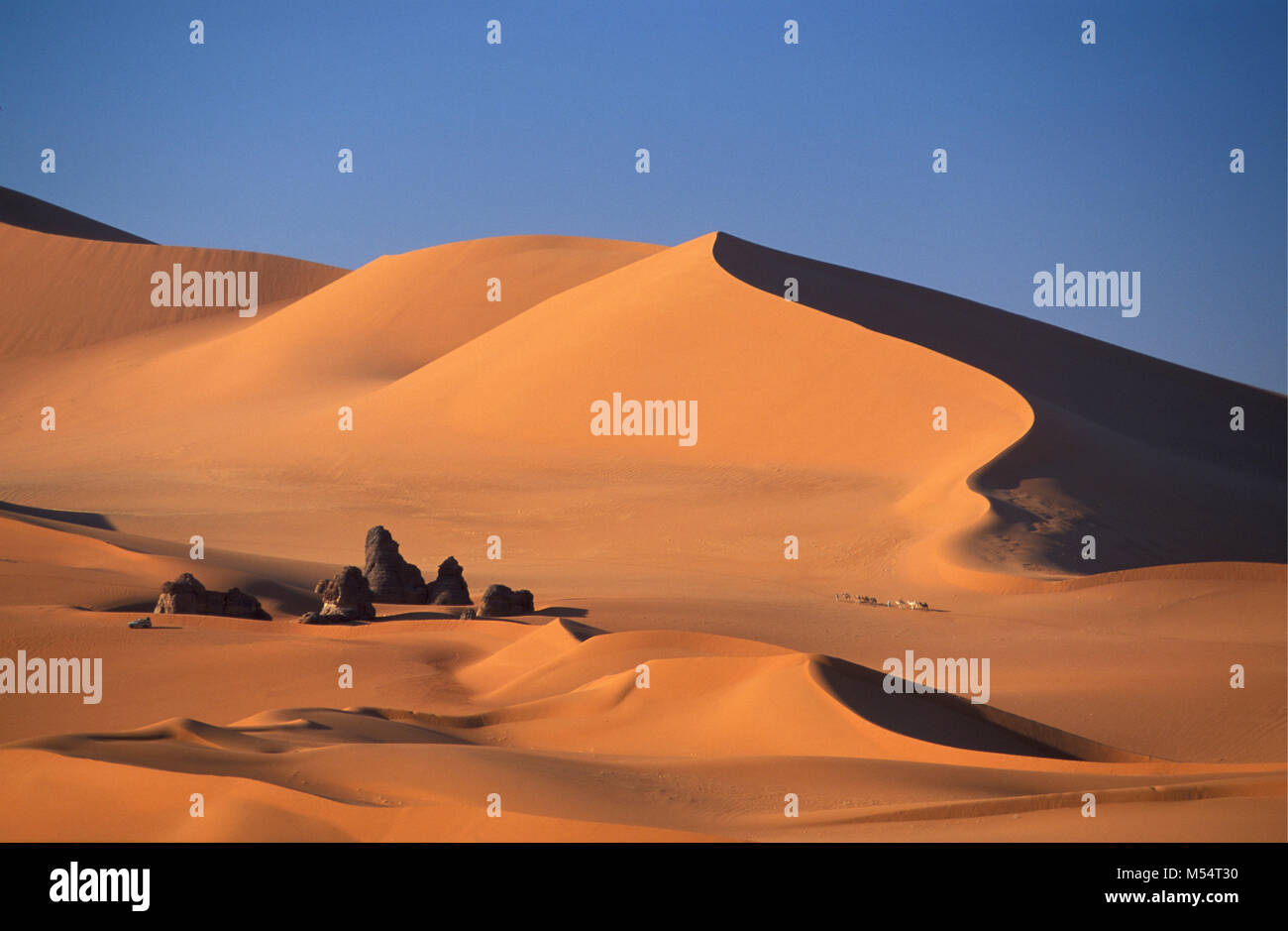 In Algeria. Nei pressi di Djanet. Deserto del Sahara. Gli uomini della tribù Tuareg e camel caravan. Le dune di sabbia e mare di sabbia. Foto Stock