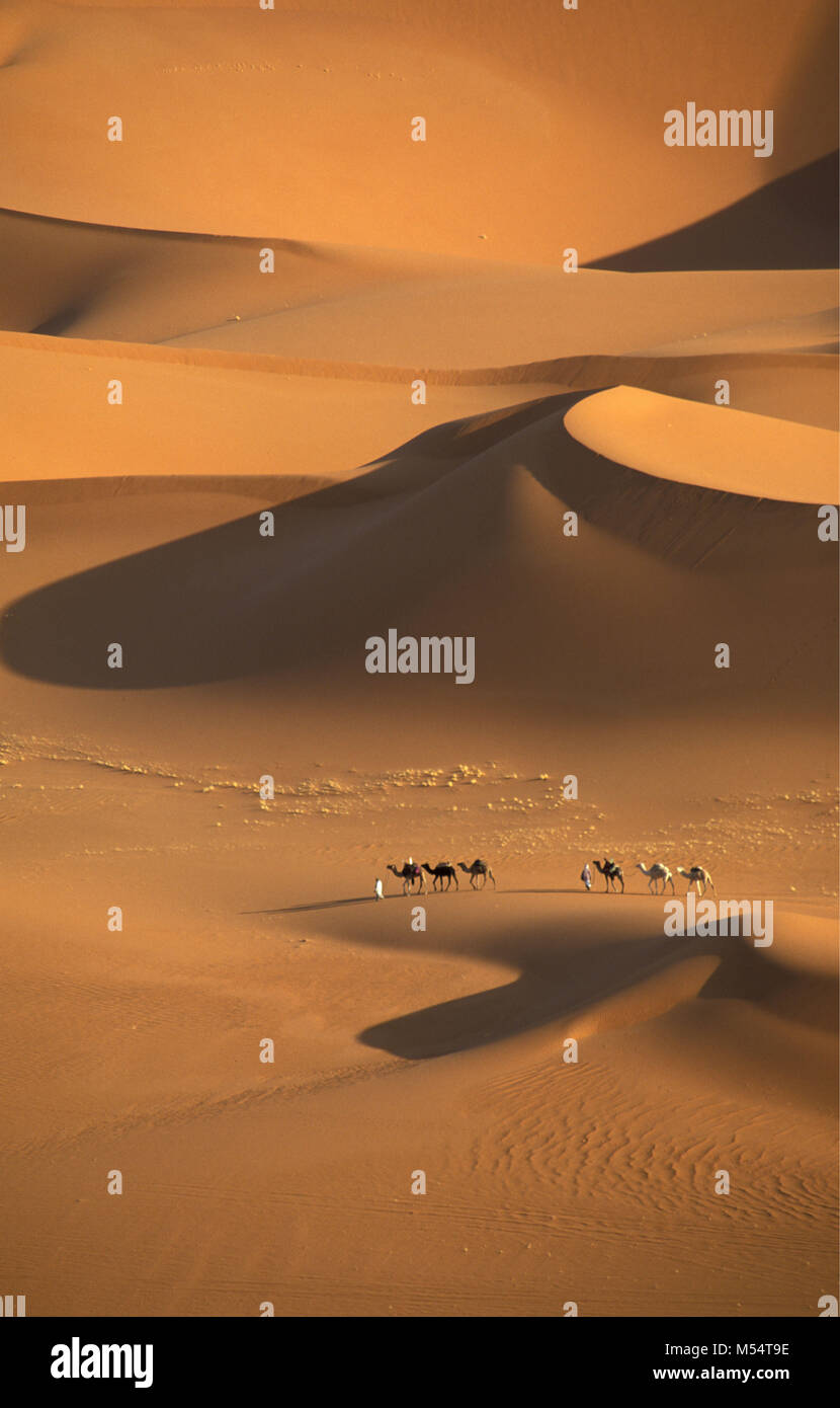 In Algeria. Nei pressi di Djanet. Deserto del Sahara. Gli uomini della tribù Tuareg e camel caravan. Le dune di sabbia, mare di sabbia. Foto Stock