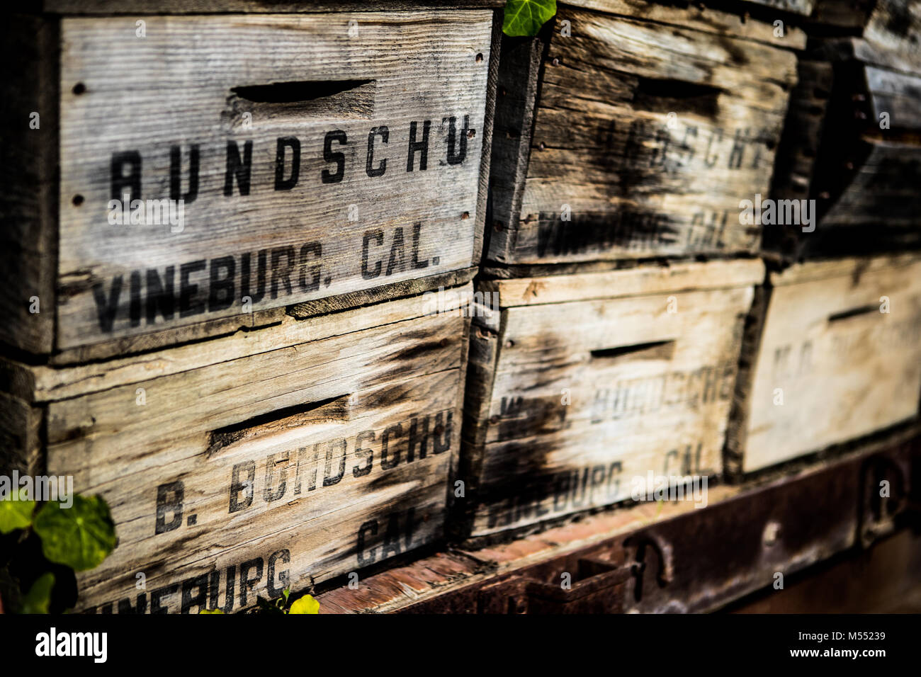 Casse di vino a Gundlach Bundschu Winery, Sonoma, California Foto Stock