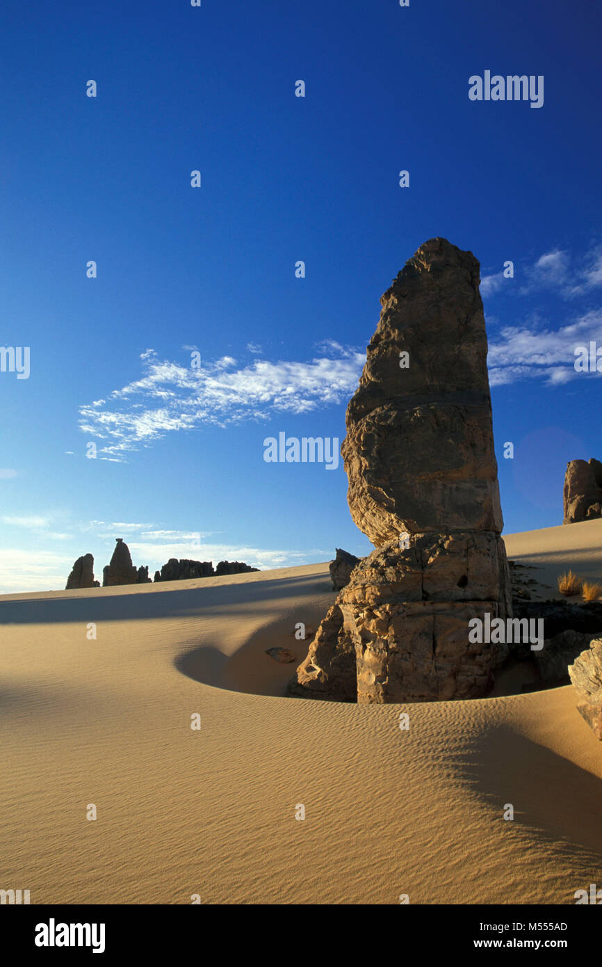 In Algeria. Vicino a Tamanrasset. Tassili du Hoggar. Deserto del Sahara. Le dune di sabbia e rocce. Foto Stock