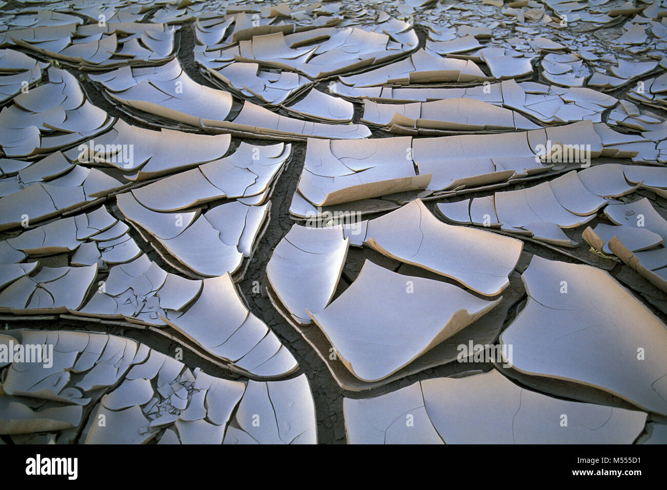 In Algeria. Vicino a Tamanrasset. Tassili du Hoggar. Deserto del Sahara. Le dune di sabbia e rocce. Asciugare, incrinato terra, fango. Foto Stock