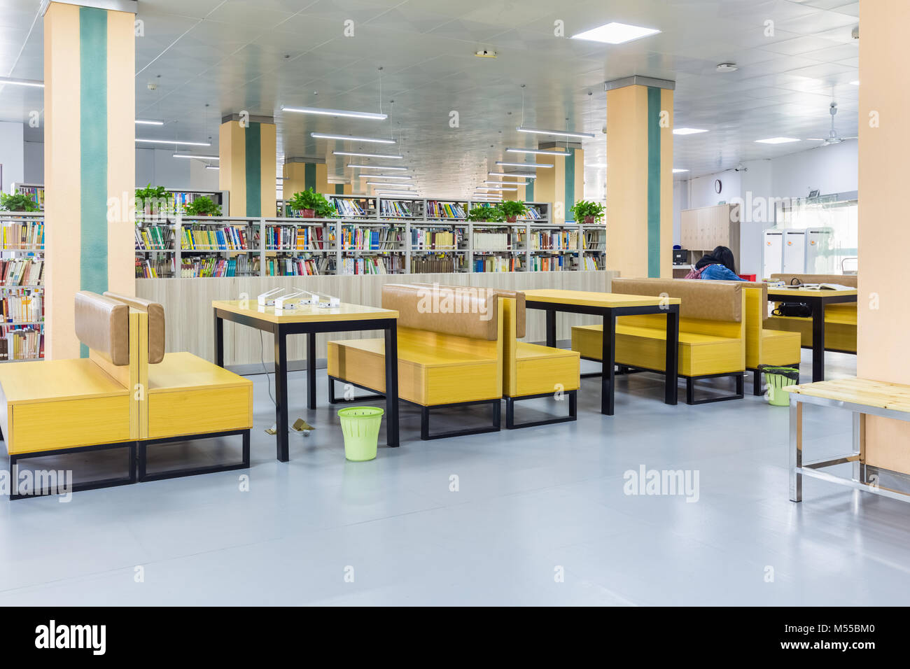 Biblioteca area di lettura Foto Stock