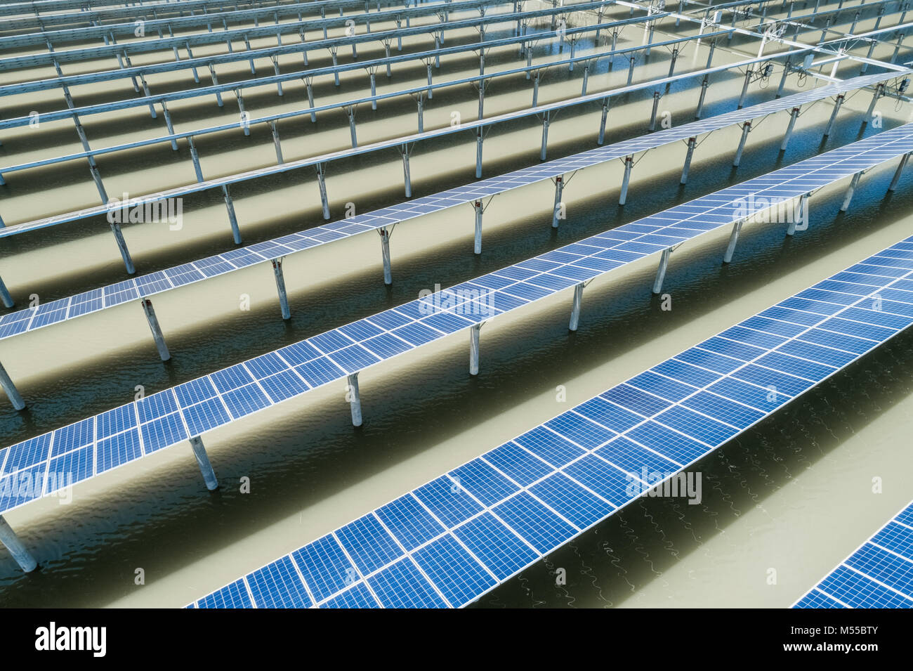 Energia solare le aziende agricole Foto Stock