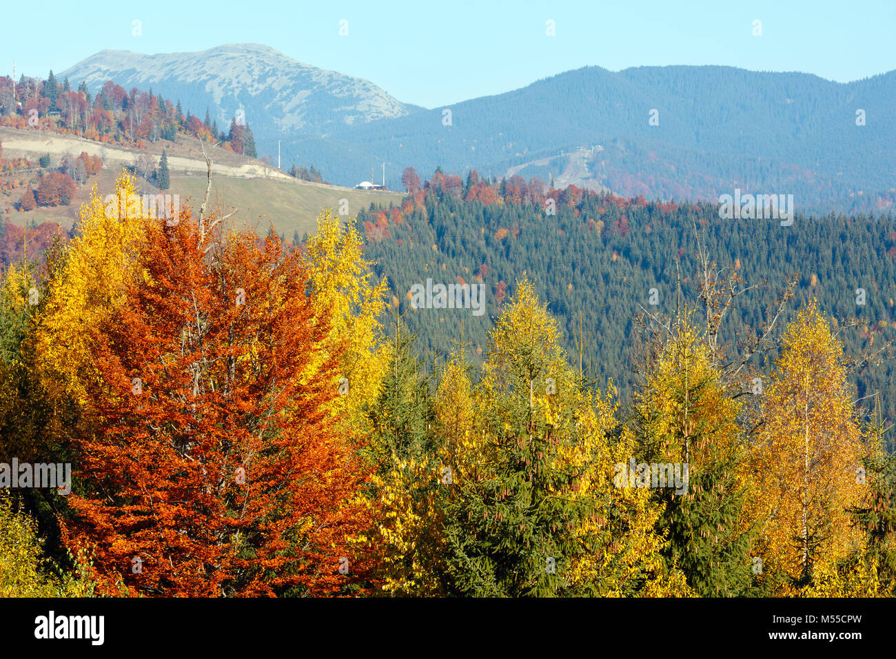 Mattina autunno Carpazi paesaggio. Foto Stock