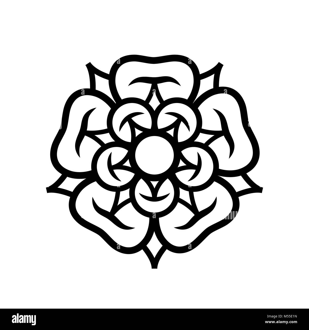 Rose (la regina dei fiori): emblema di amore, bellezza e perfezione. Foto Stock