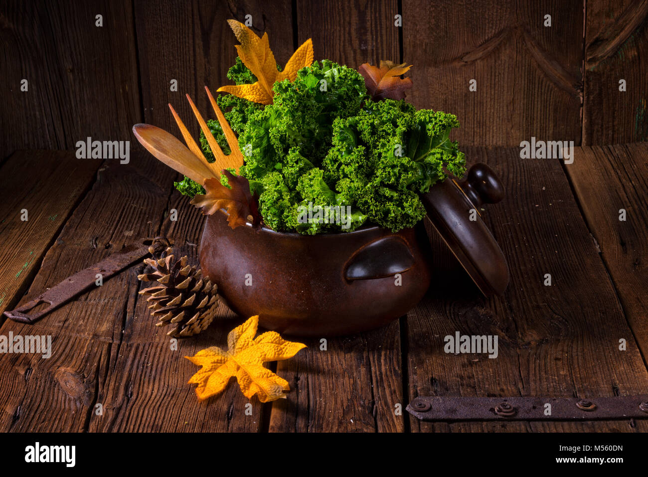 Cavolo Brassica oleracea Foto Stock