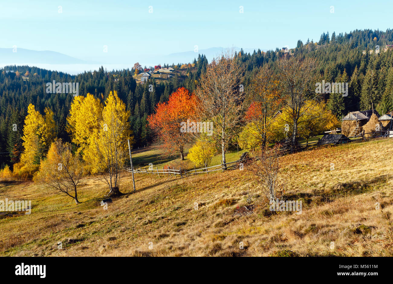 Mattina autunno Carpazi paesaggio. Foto Stock