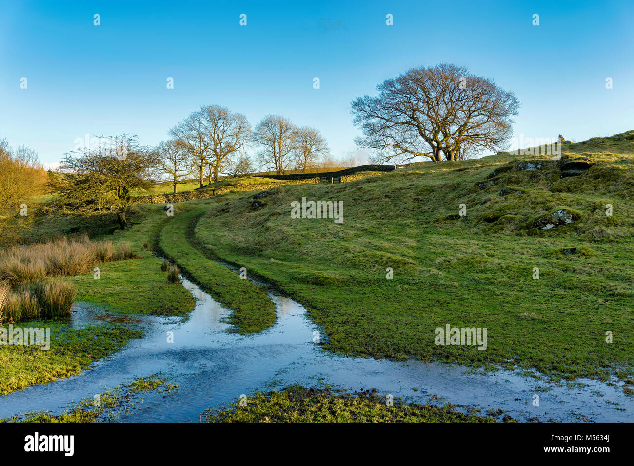 Un paese di lingua inglese scena con un parzialmente allagato via passando attraverso un campo Foto Stock