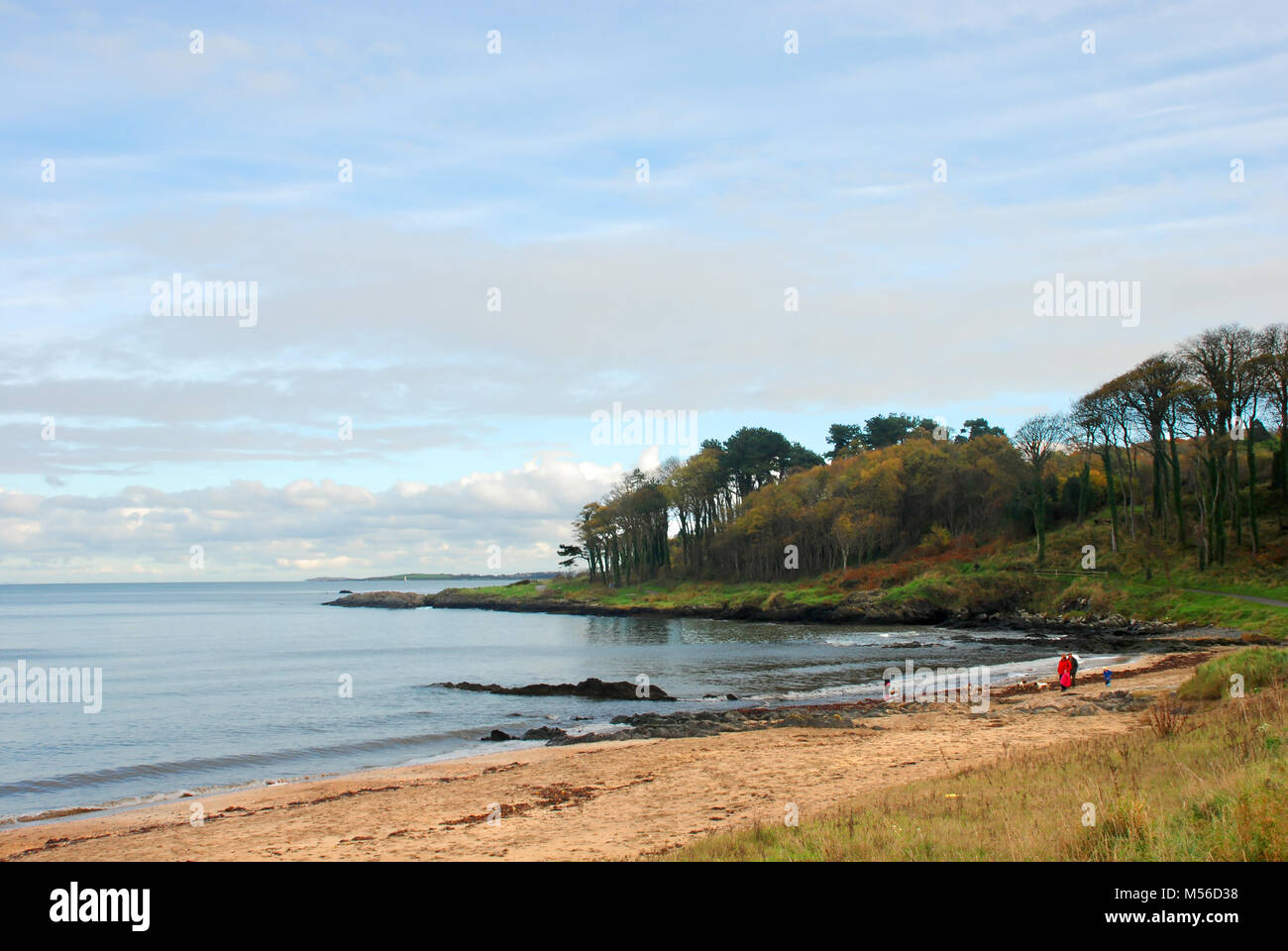 Spiaggia sul sentiero costiero vicino a Bangor, Co. Down, Irlanda del Nord, Regno Unito Foto Stock