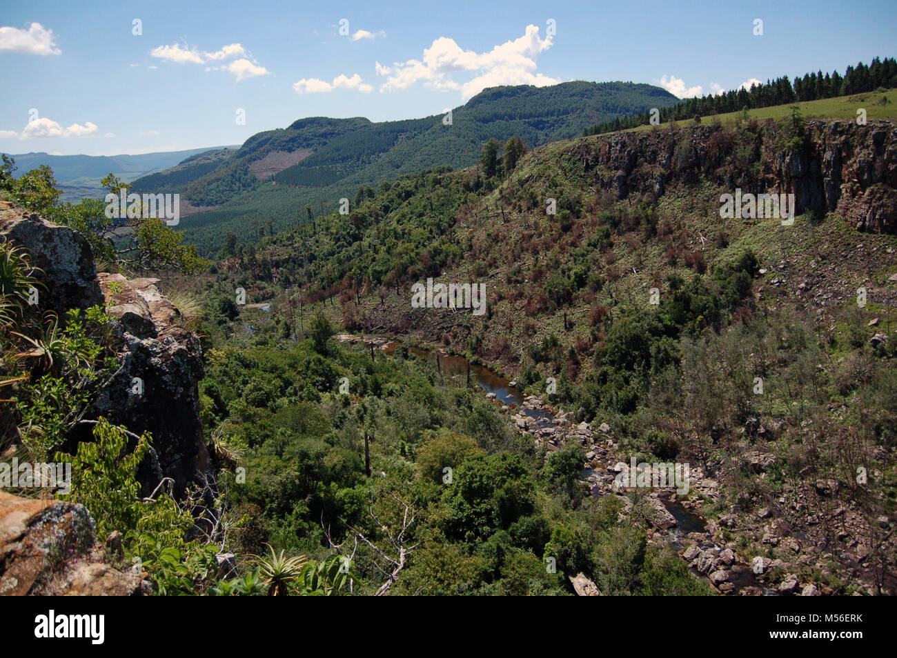 Il fiume di Lisbona, Graskop - Mpumalanga in Sudafrica Foto Stock