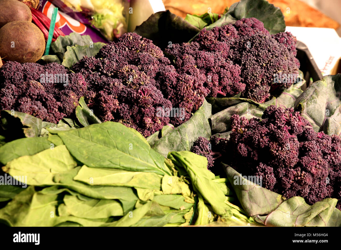 Violetta broccoli - Mercado de Tirana Market Hall Foto Stock