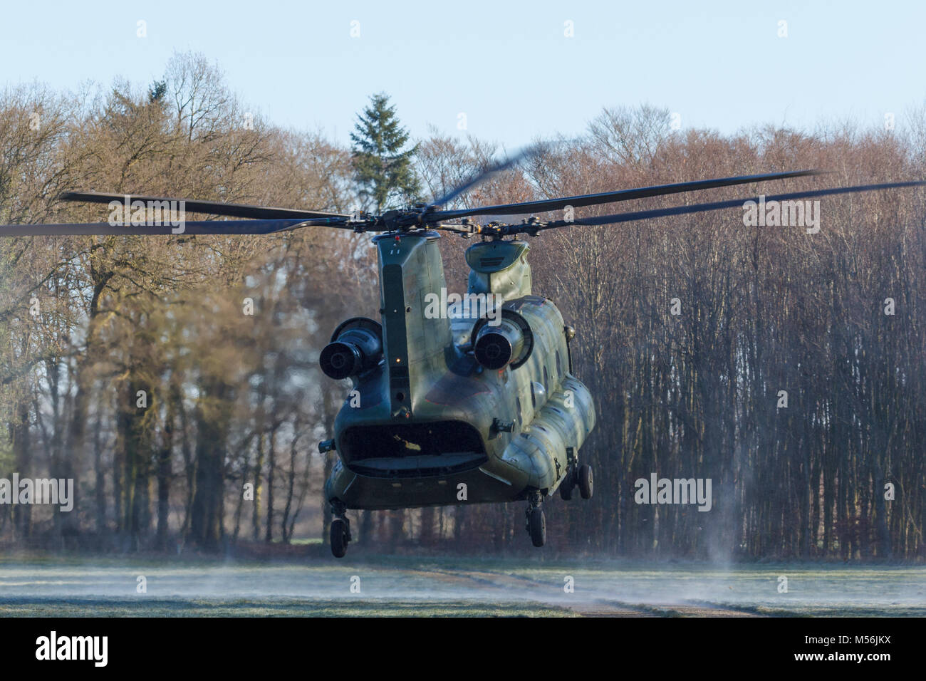Olst Feb 7 2018: Amry e Air Force esercizio di elicottero Chinook sbarco di soldati di caduta Foto Stock