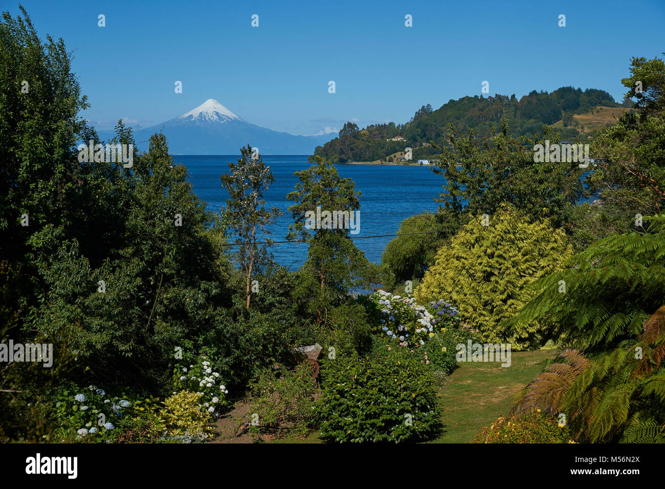 Snow capped vulcano Osorno (2,652 metri) sul bordo del Lago Llanquihue nel sud del Cile. Vista da Frutillar. Foto Stock